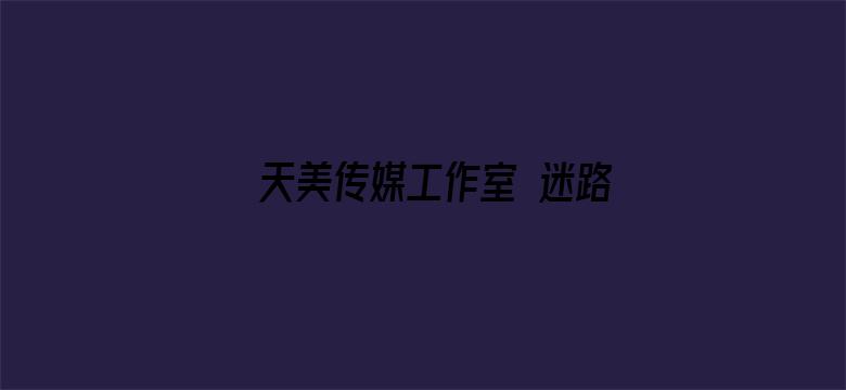 >天美传媒工作室 迷路空姐免费横幅海报图